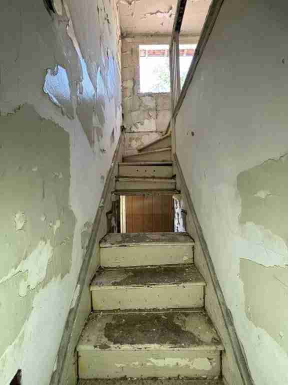 20241017_163003750_iOS (2).jpg